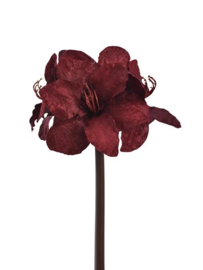 AMARYLIS VELVET 52CM XMEI2006 BURGUNDY