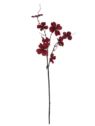 DEREŃ GAŁĄZKA VELVET 80CM XMEI2008 RED