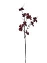 DEREŃ GAŁĄZKA VELVET 80CM XMEI2008 BURGUNDY
