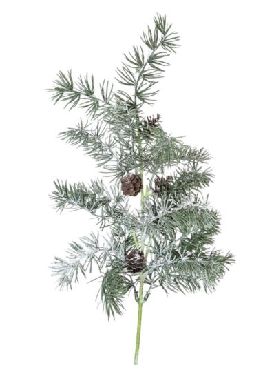 MODRZEW Z SZYSZKAMI OSZRONIONY 65CM SNOW GREEN