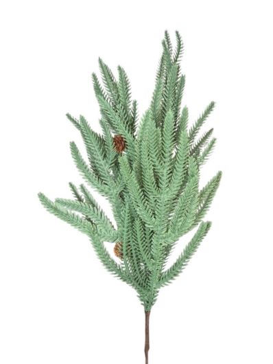 ARAUKARIA Z SZYSZKAMI GAŁĄZKA 69CM POW GREEN