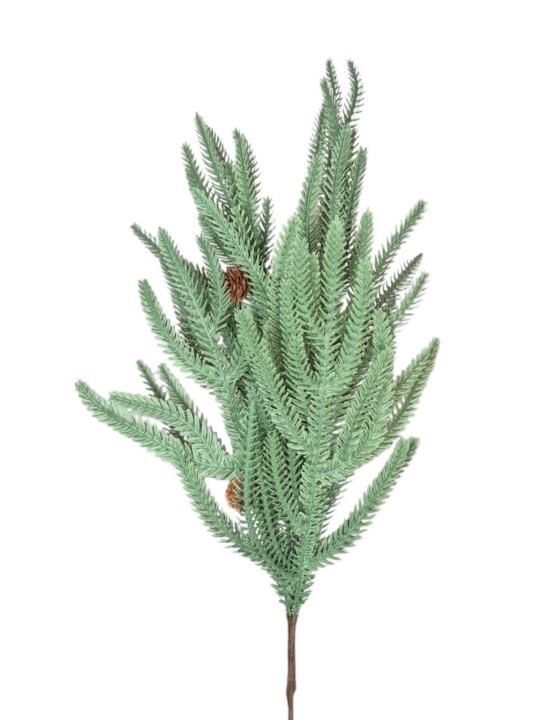ARAUKARIA Z SZYSZKAMI GAŁĄZKA 69CM POW GREEN