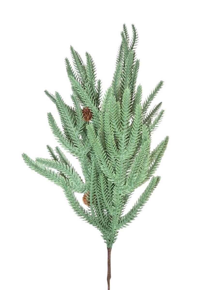ARAUKARIA Z SZYSZKAMI GAŁĄZKA 69CM POW GREEN