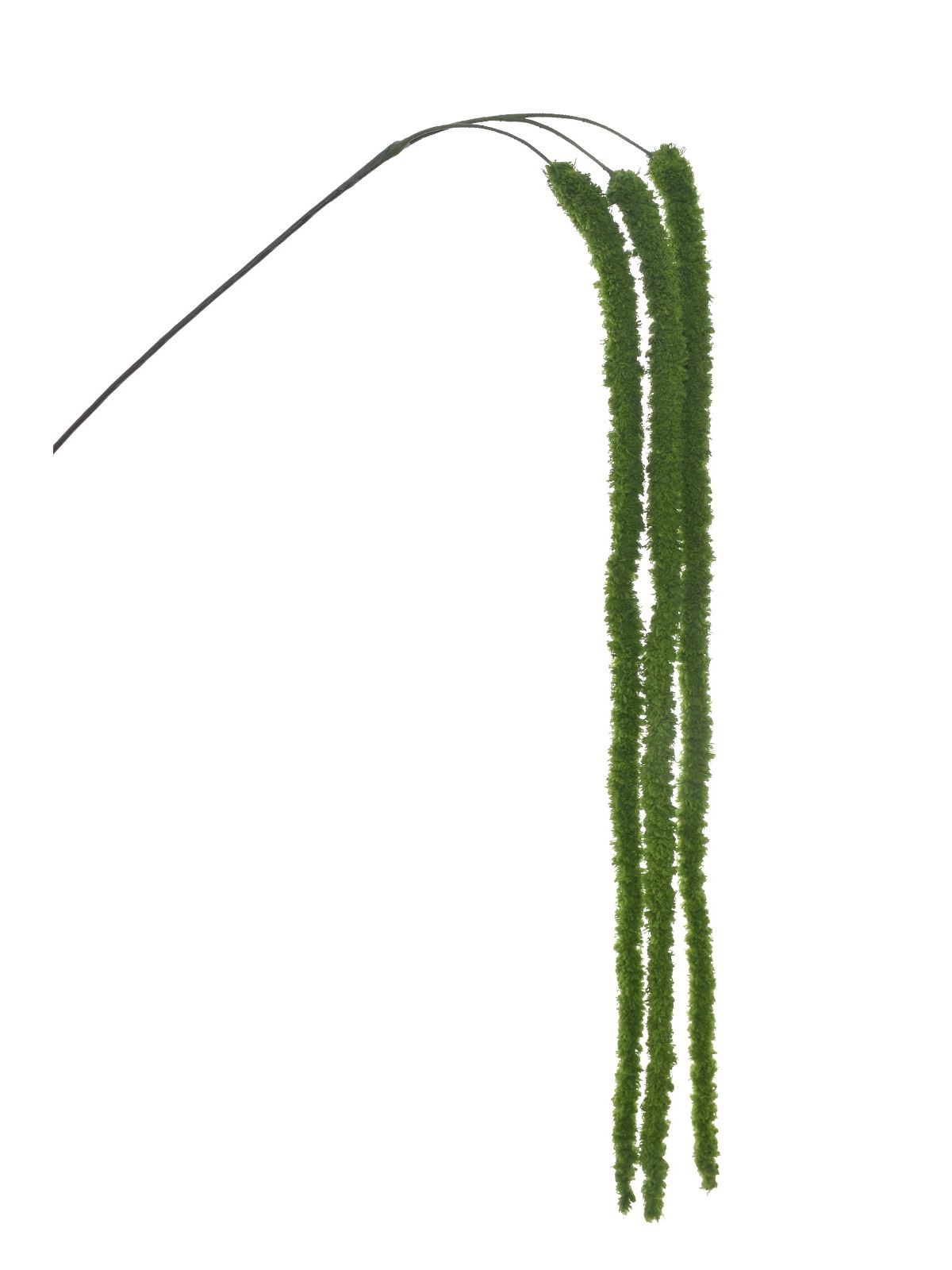SZARŁAT – AMARANTUS ZWIS 135CM SZA1002 JUCY GREEN