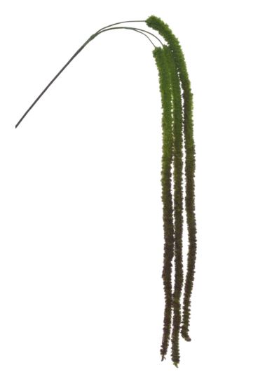 SZARŁAT – AMARANTUS ZWIS 135CM SZA1002 DR GREEN