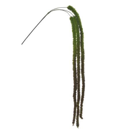 SZARŁAT – AMARANTUS ZWIS 135CM SZA1002 DR GREEN