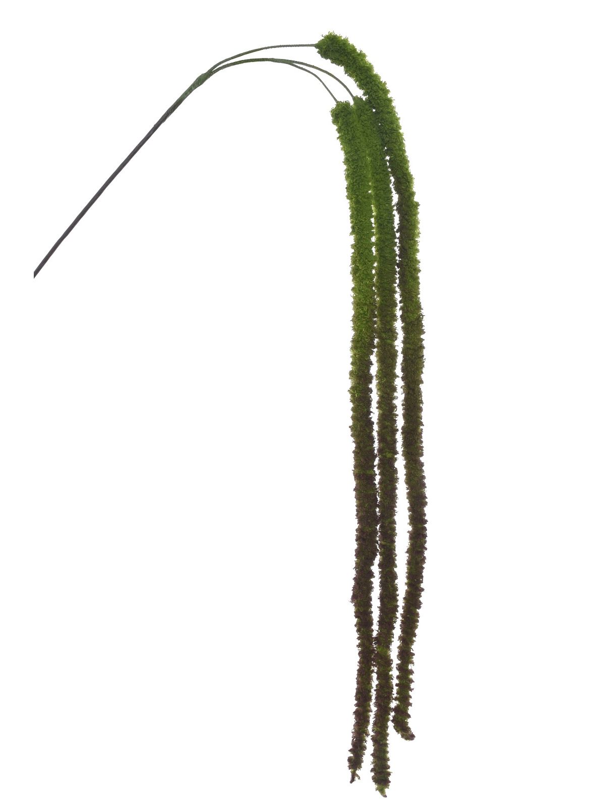 SZARŁAT – AMARANTUS ZWIS 135CM SZA1002 DR GREEN