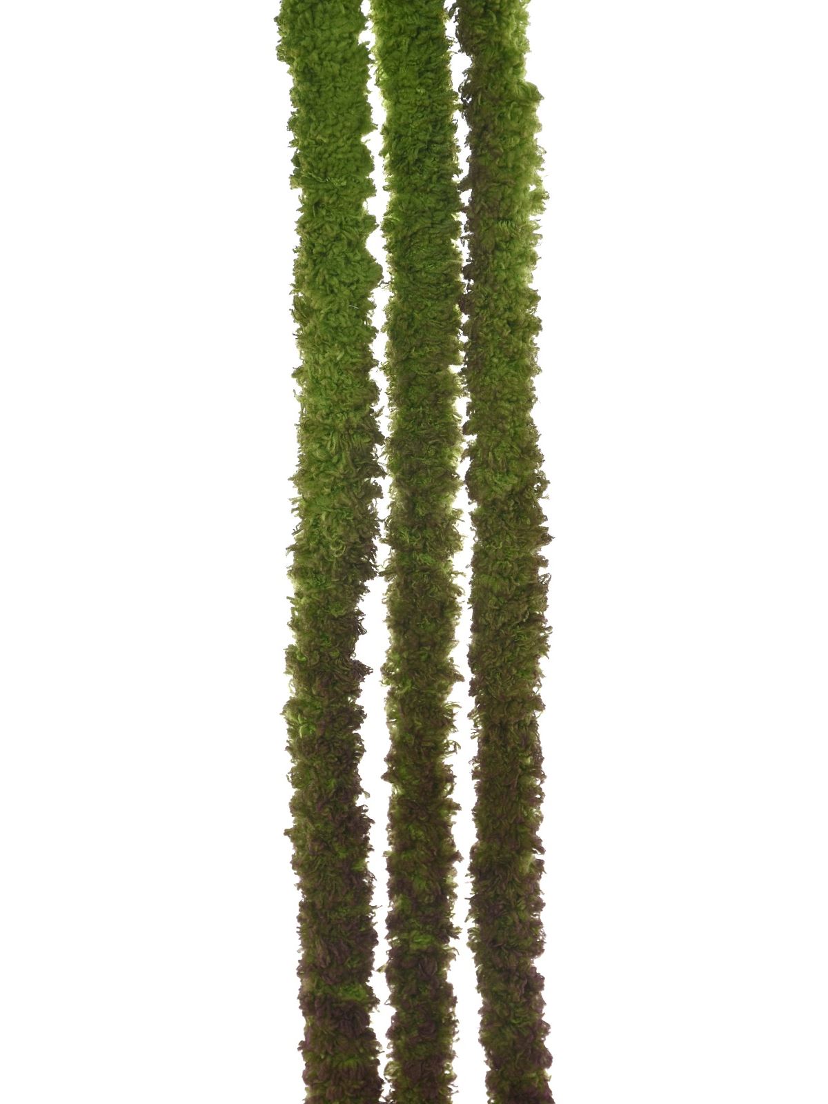 SZARŁAT – AMARANTUS ZWIS 135CM SZA1002 DR GREEN