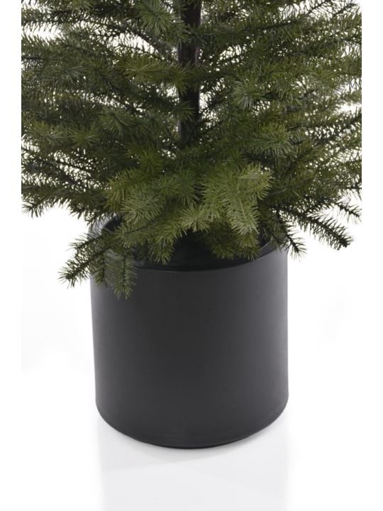 ŚWIERK W DONICZCE 155CM XYD122 GREEN