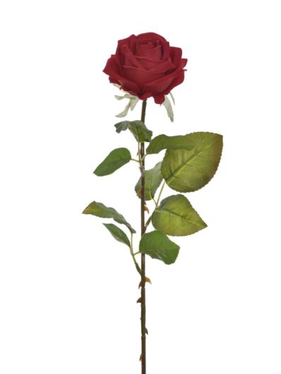 RÓŻA WELVET POJEDYNCZA 63CM RUBIN