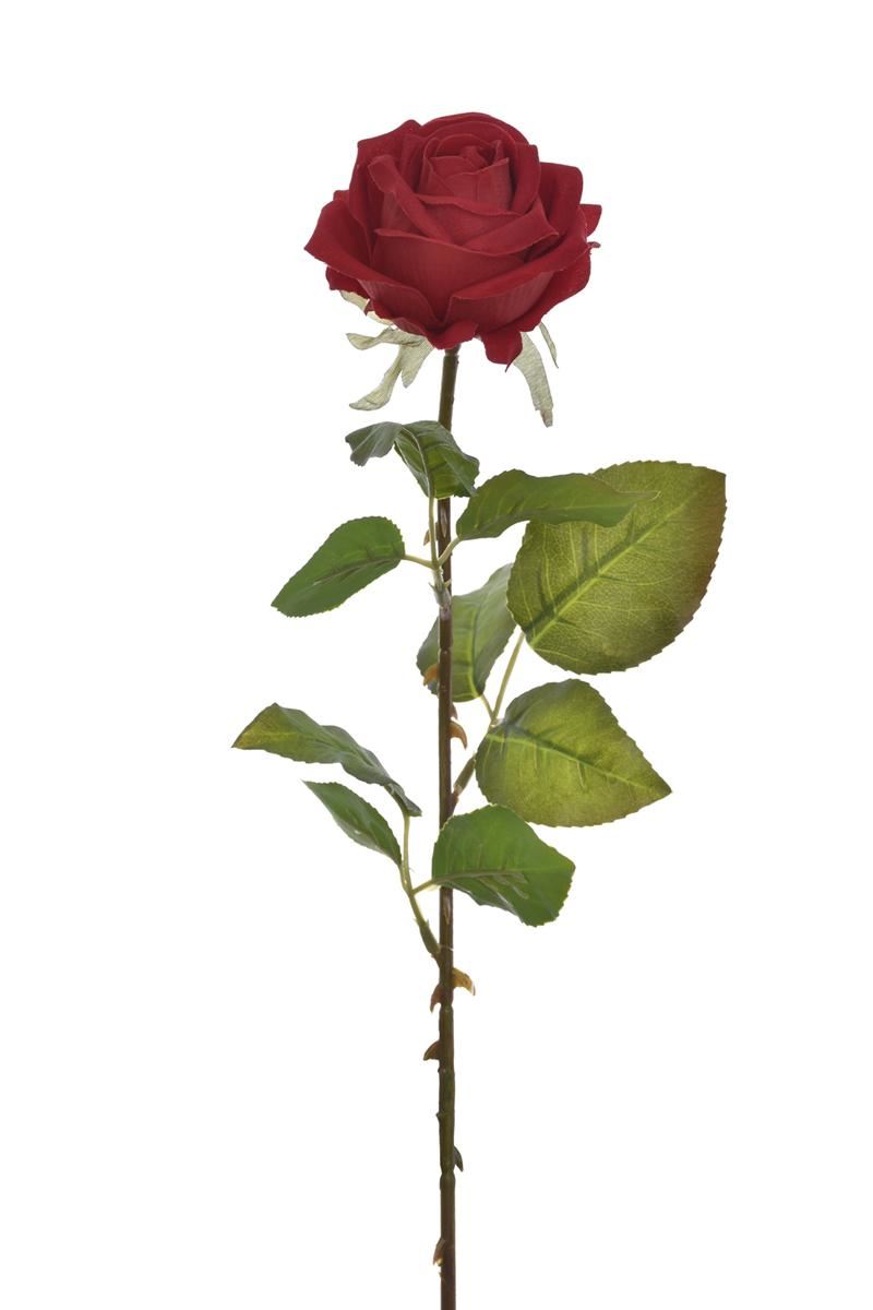 RÓŻA WELVET POJEDYNCZA 63CM RUBIN