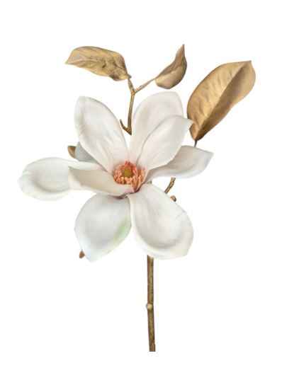 MAGNOLIA x1 ZŁOTA ŁODYGA 38CM CV42395 DR CREAM PK