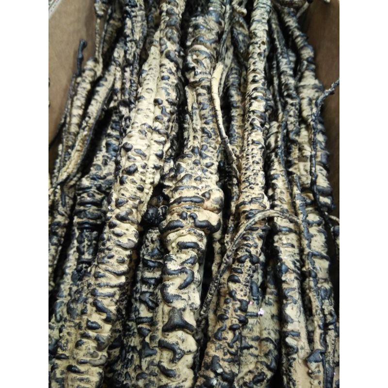 TREE BRANCH X10 120CM lt BROWN